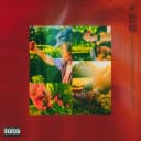 Wild Strawberries cover art